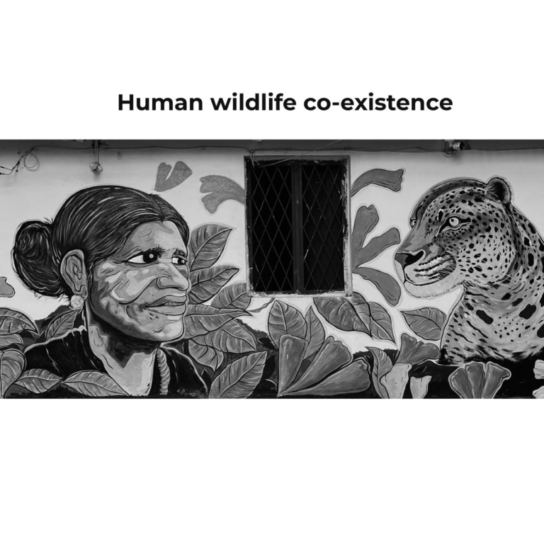 Human Wildlife Co-existence